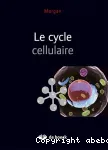 Le cycle cellulaire vignette